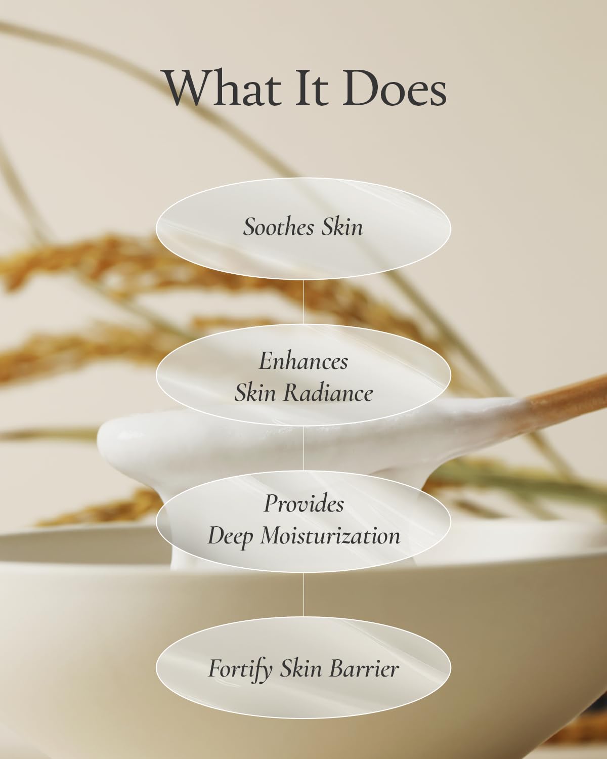 FULLY Rice Dough Facial Modeling Mask